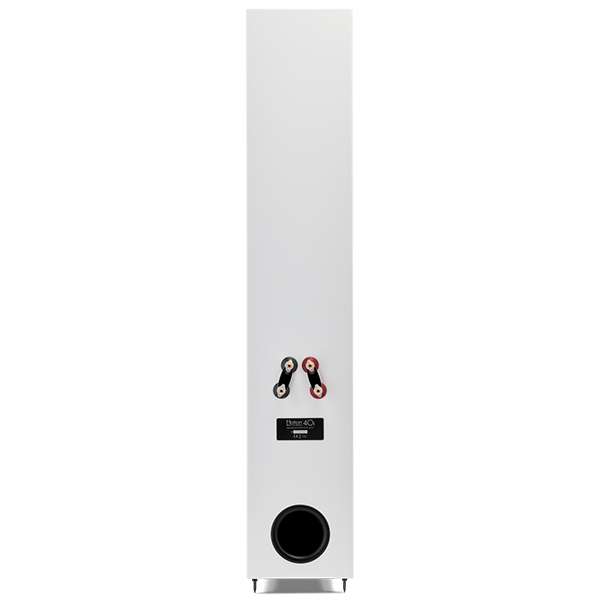 MartinLogan Motion 40i w 05