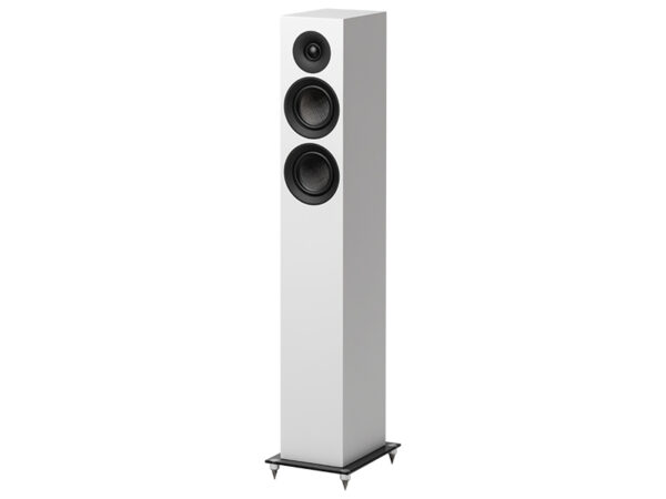 Speaker Box 10 E Carbon
