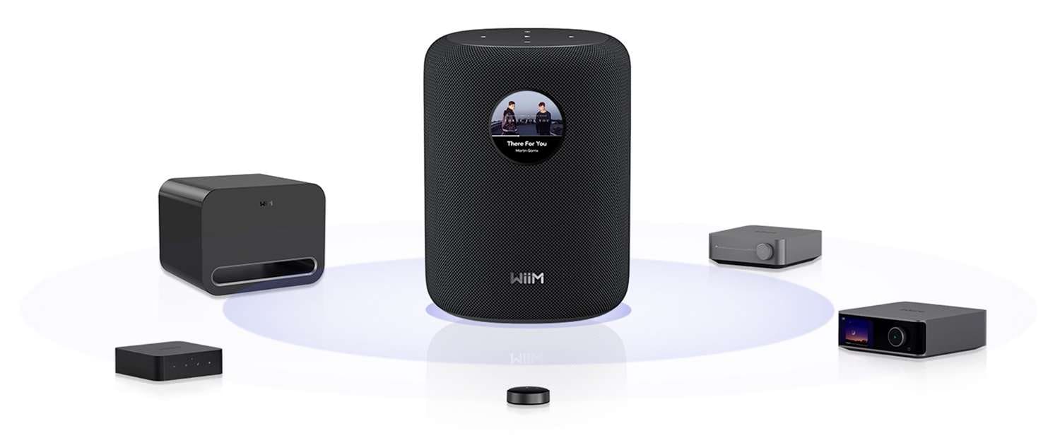 Final Audio DX6000 14 WiiM Sound, lo smart speaker con ambizioni audiofile News CentroMusica